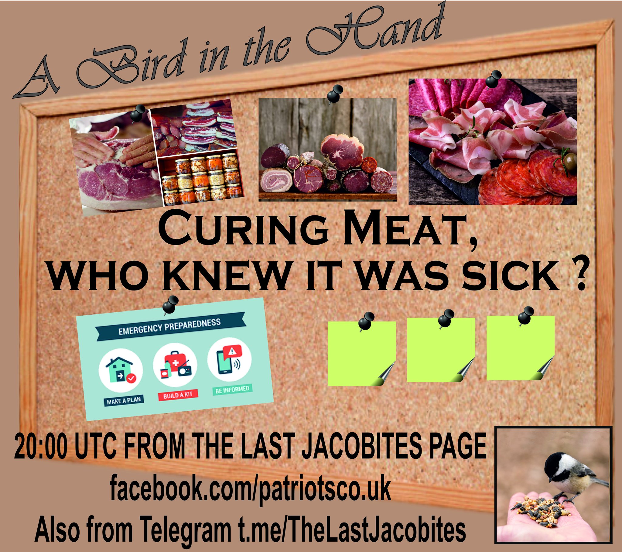 Curing Meat, who knew it was sick ?