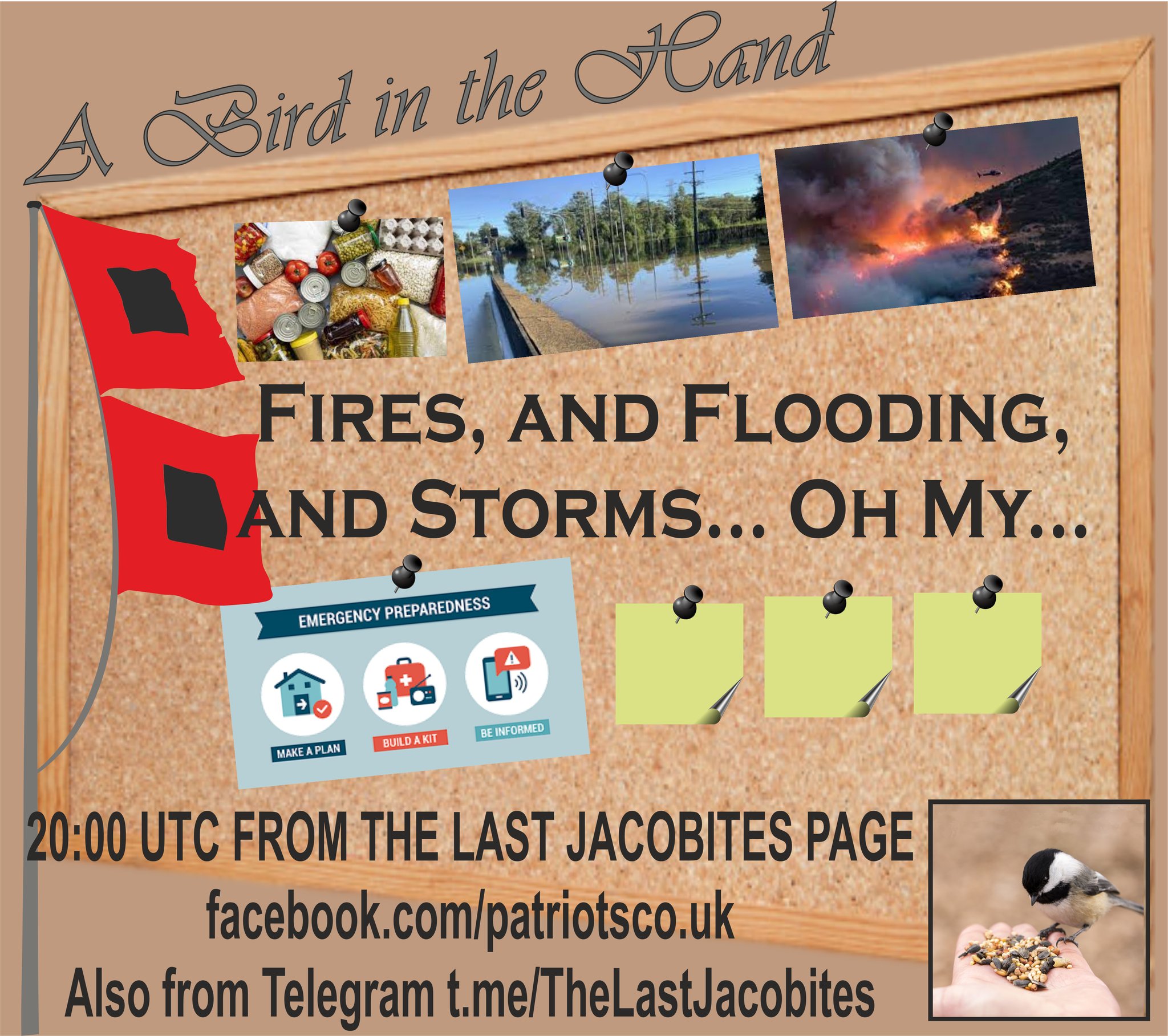 Fires, and Flooding and Storms... Oh My ...