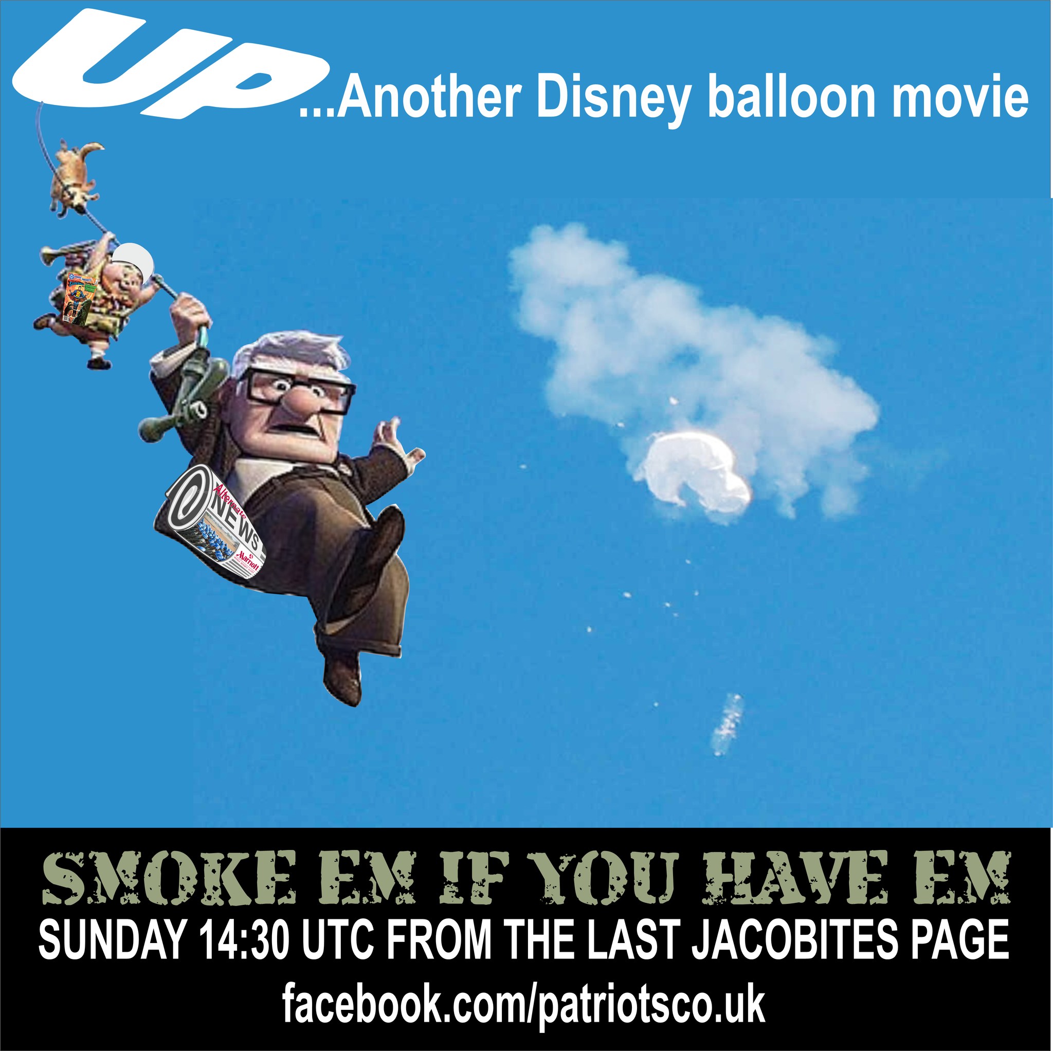 Up...Another Disney balloon Movie