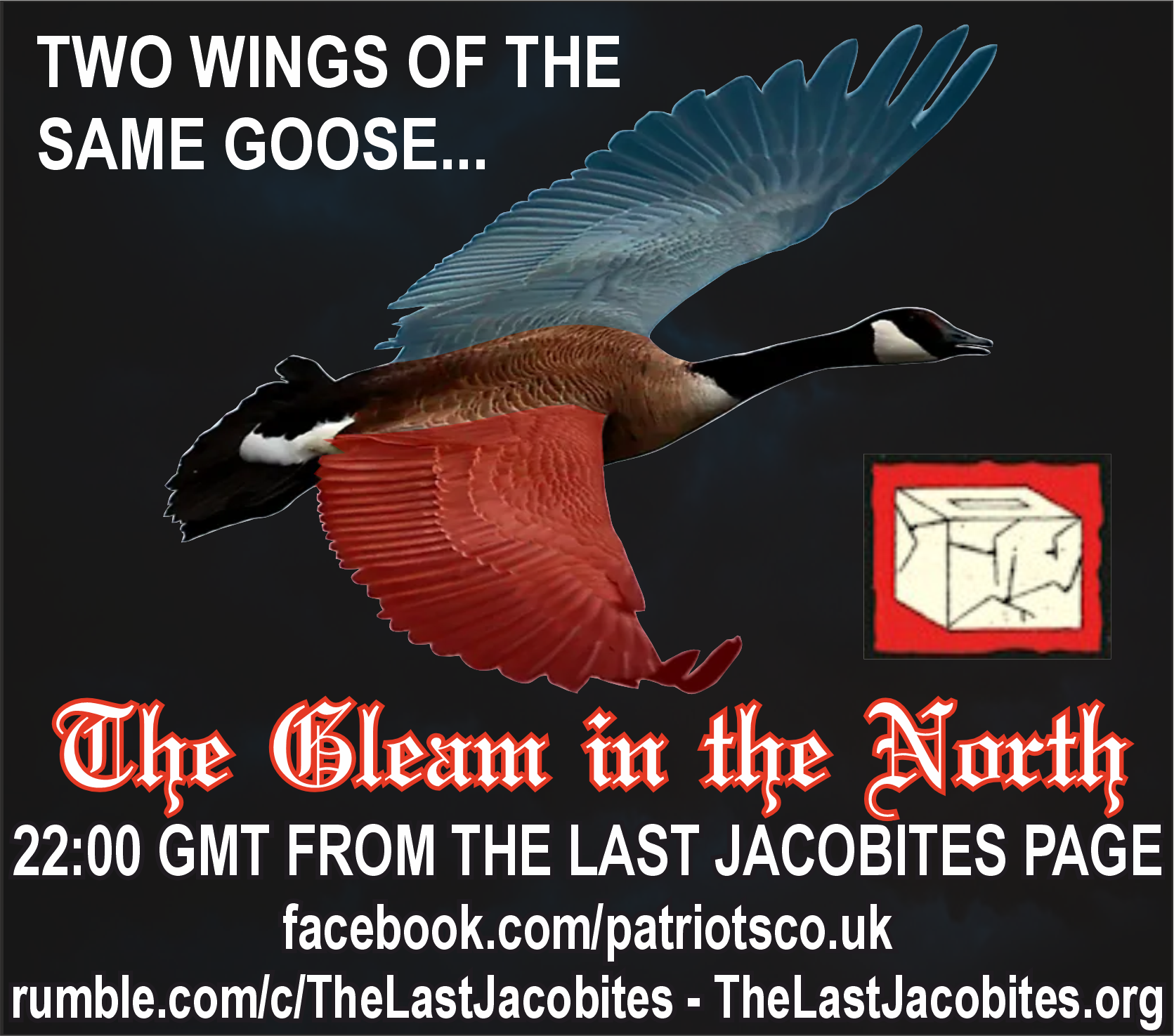 Two Wings of the Same Goose
